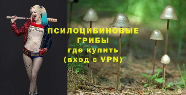 mix Аркадак