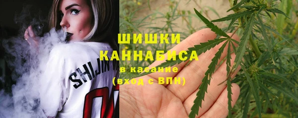 соль ск Арсеньев